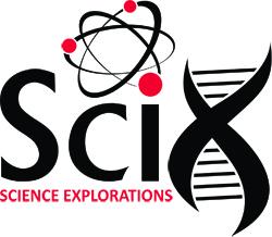 York University SciX & Helix - K-12 Science Enrichment Programs Science ...